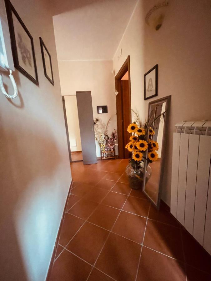 Ciorlano Da Nonna Pasqualina Bed & Breakfast エクステリア 写真